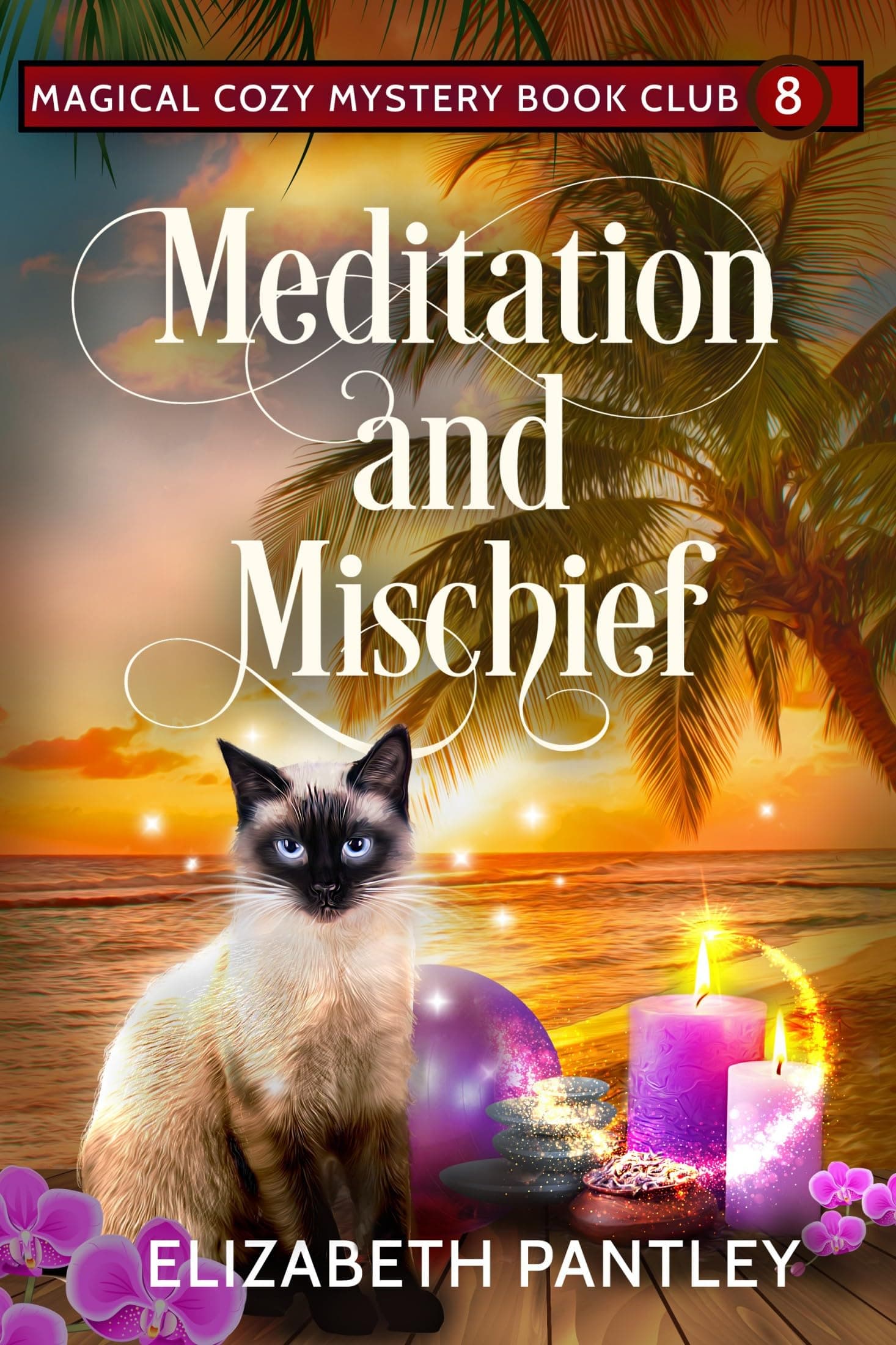 Meditation and Mischief (Magical Cozy Mystery Book Club Book 8)