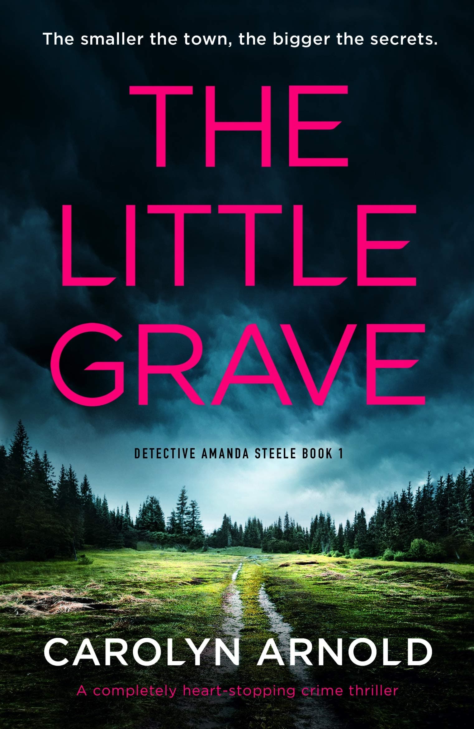 The Little Grave (Detective Amanda Steele Book 1)