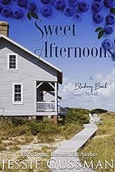 Sweet Afternoons: A Blueberry Beach Novel (Blueberry Beach Book 6)
